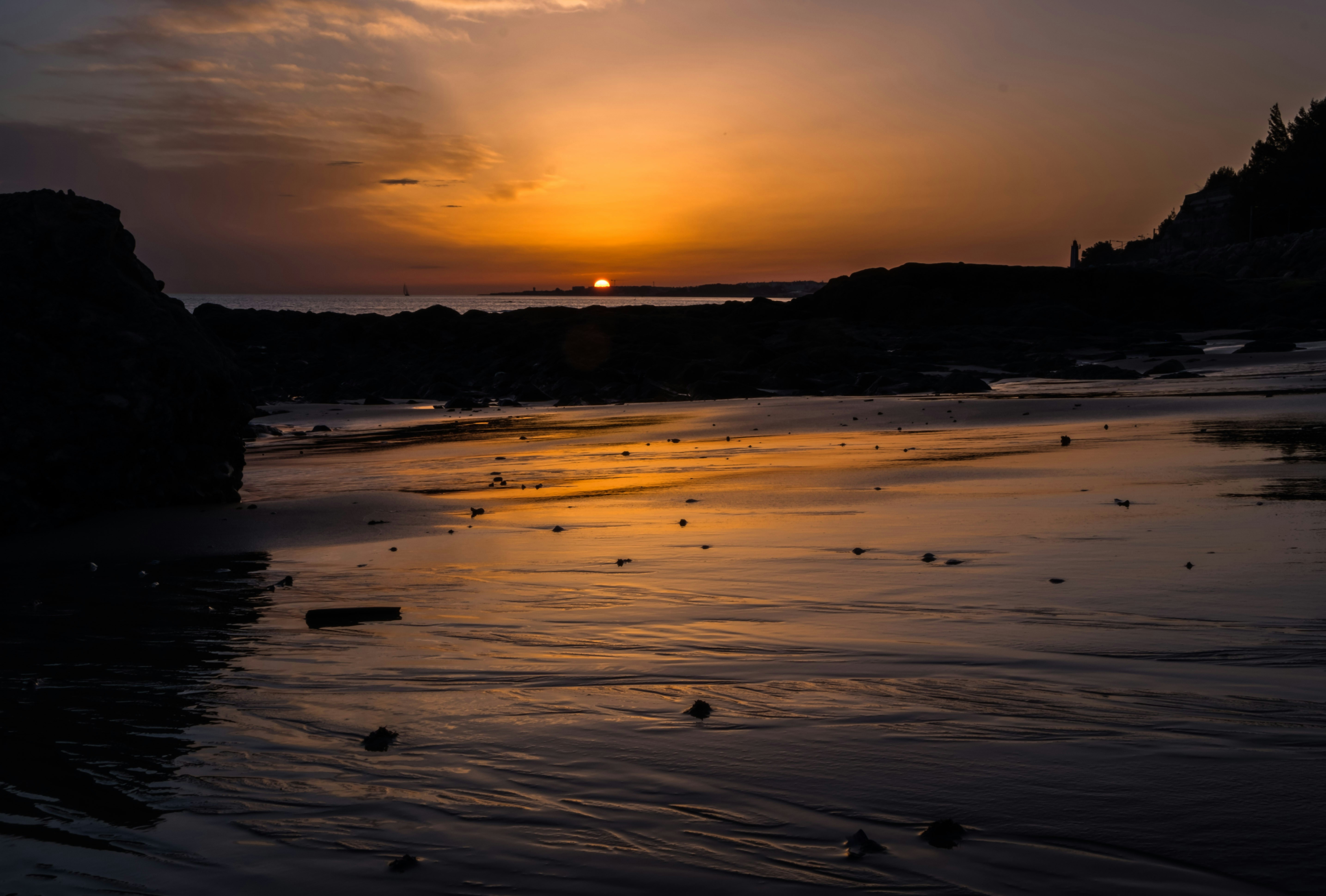 Photo by cravas