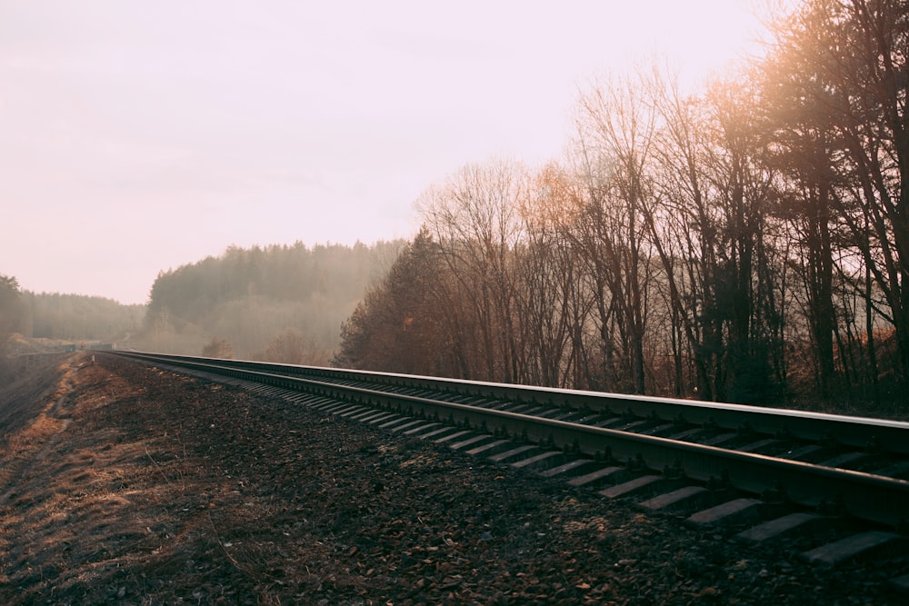 landscape photography of train rail surrounded with trees