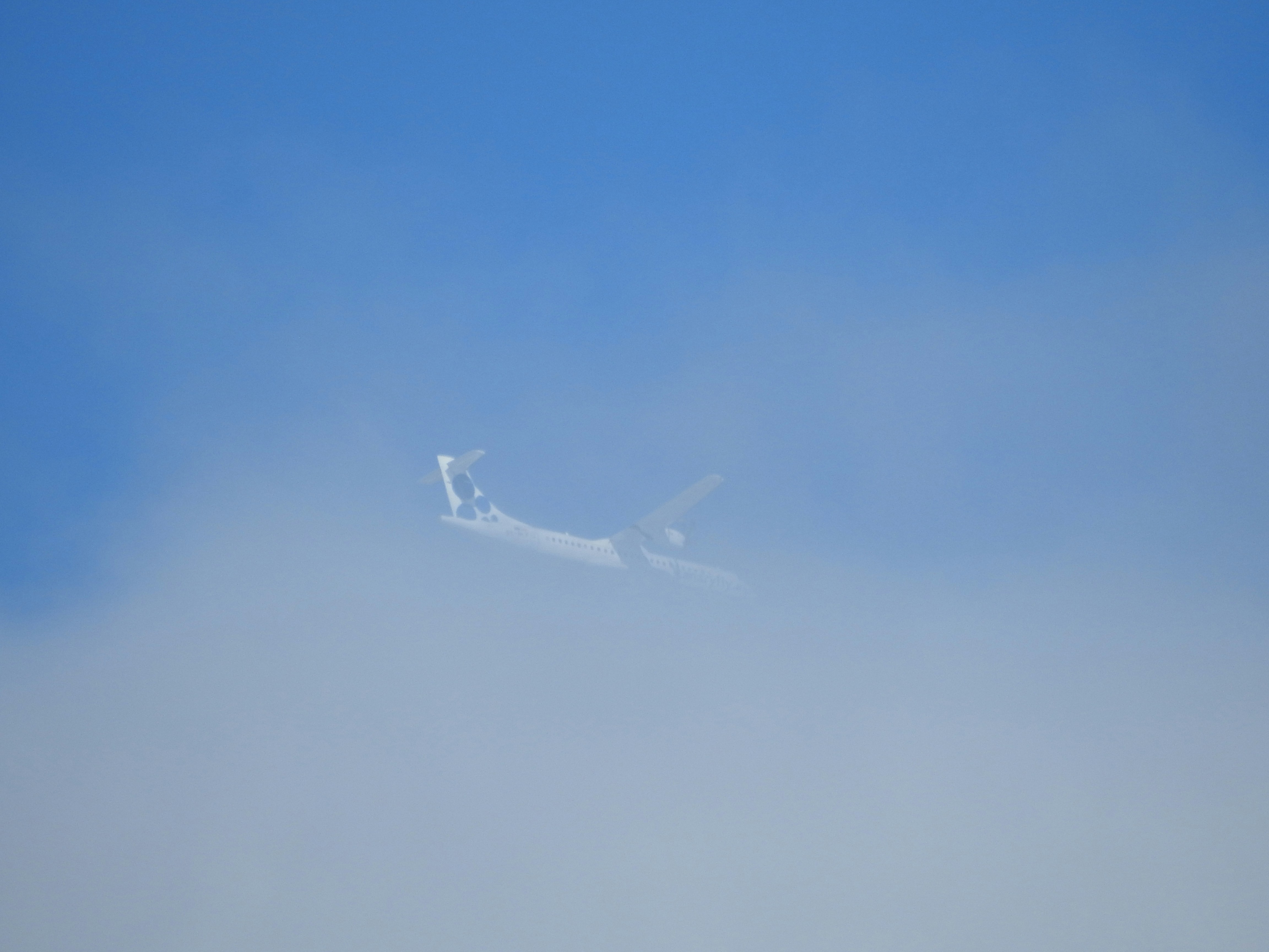white plane on the sky