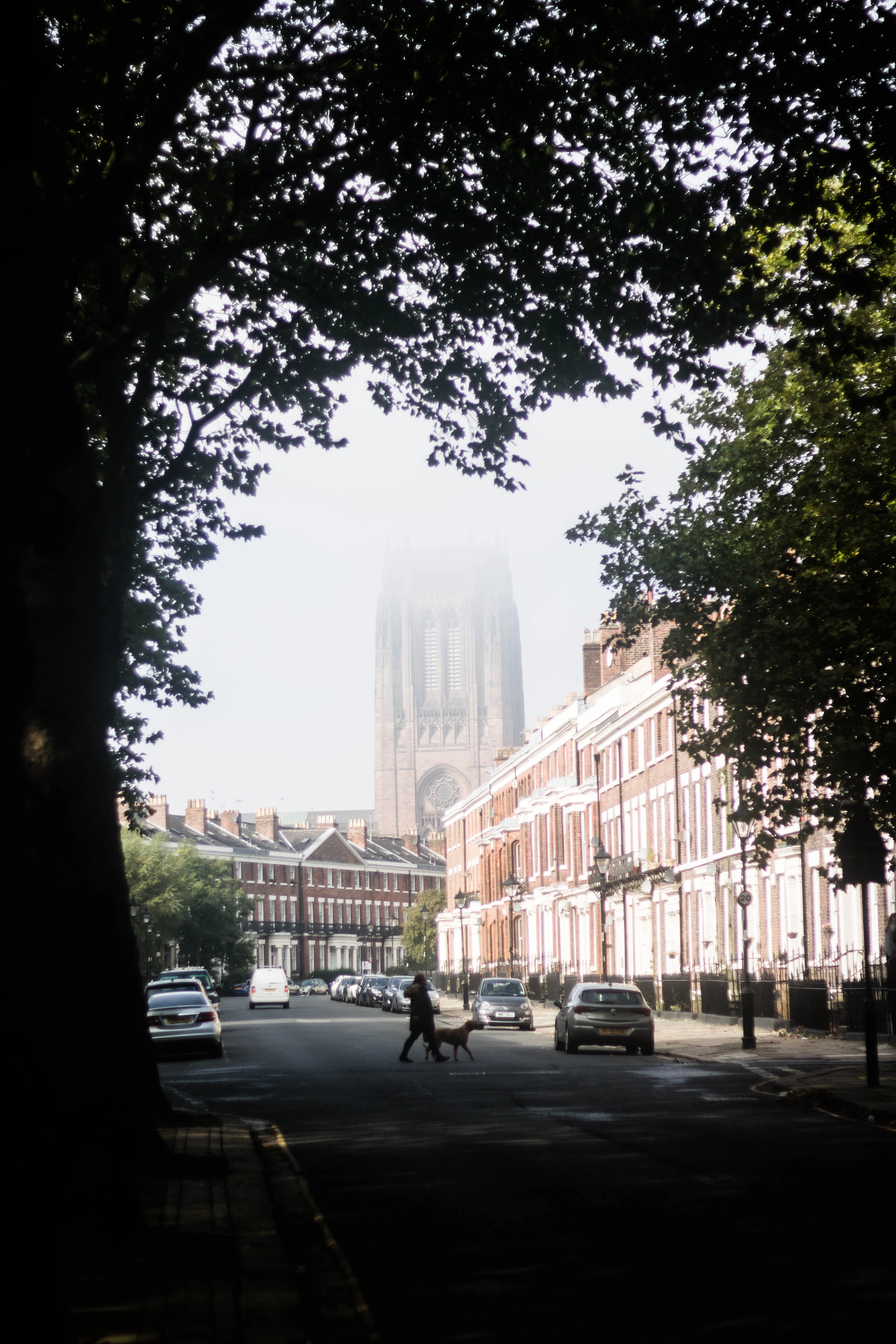 A tree-shaded street of red-brick Georgian terraces in Liverpool's Georgian Quarter on a misty morning, with the sandstone tower of Liverpool Cathedral rising through the haze at the end of the road and a figure walking a dog across the empty street.