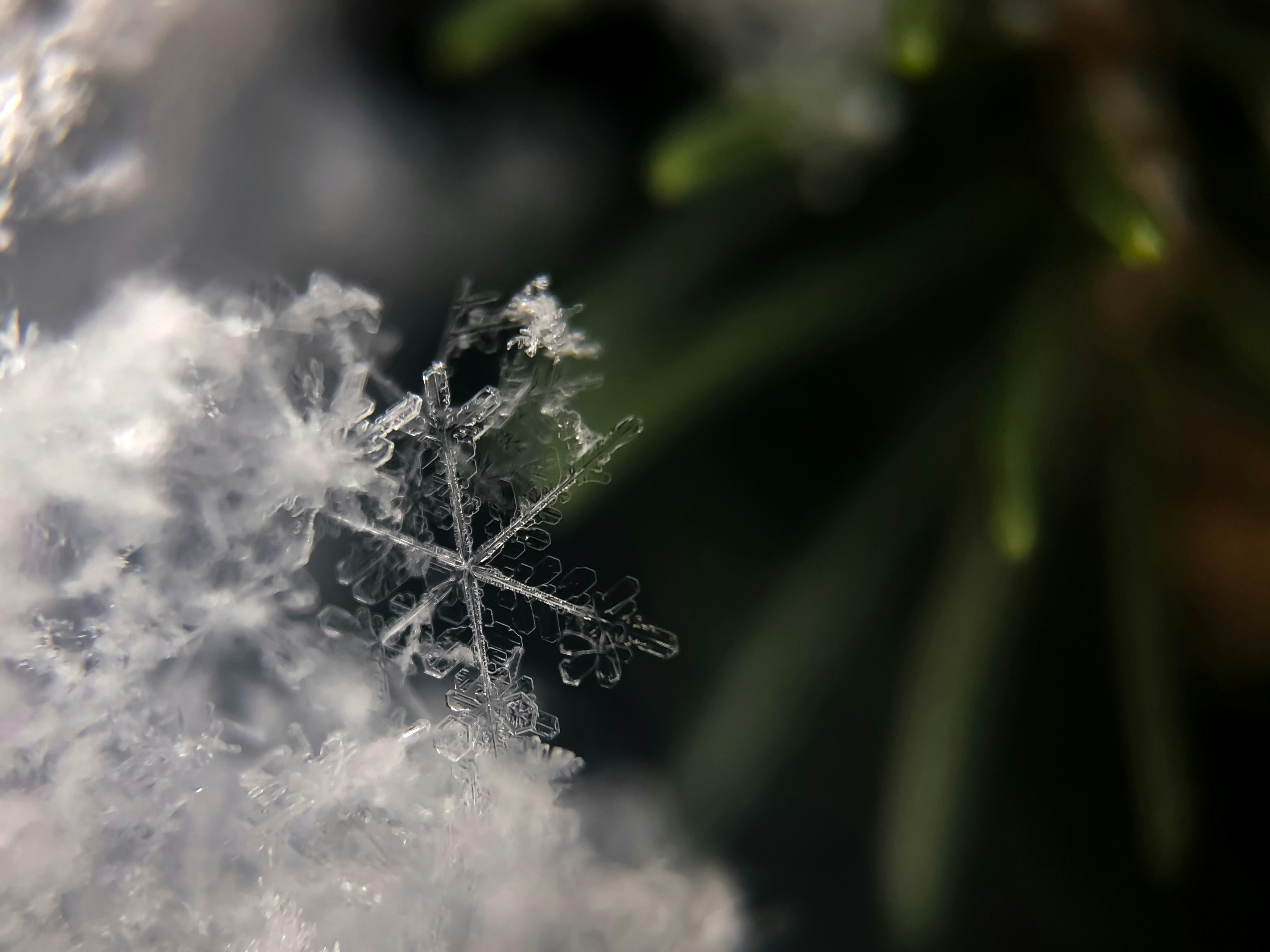 The Role Of Nature In Enhancing Cold Plunge Practices