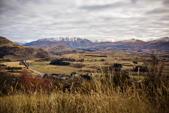 green grass and trees during daytime in Crown Range Road New Zealand