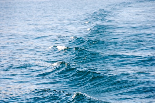 body of water in Lake Titicaca Peru