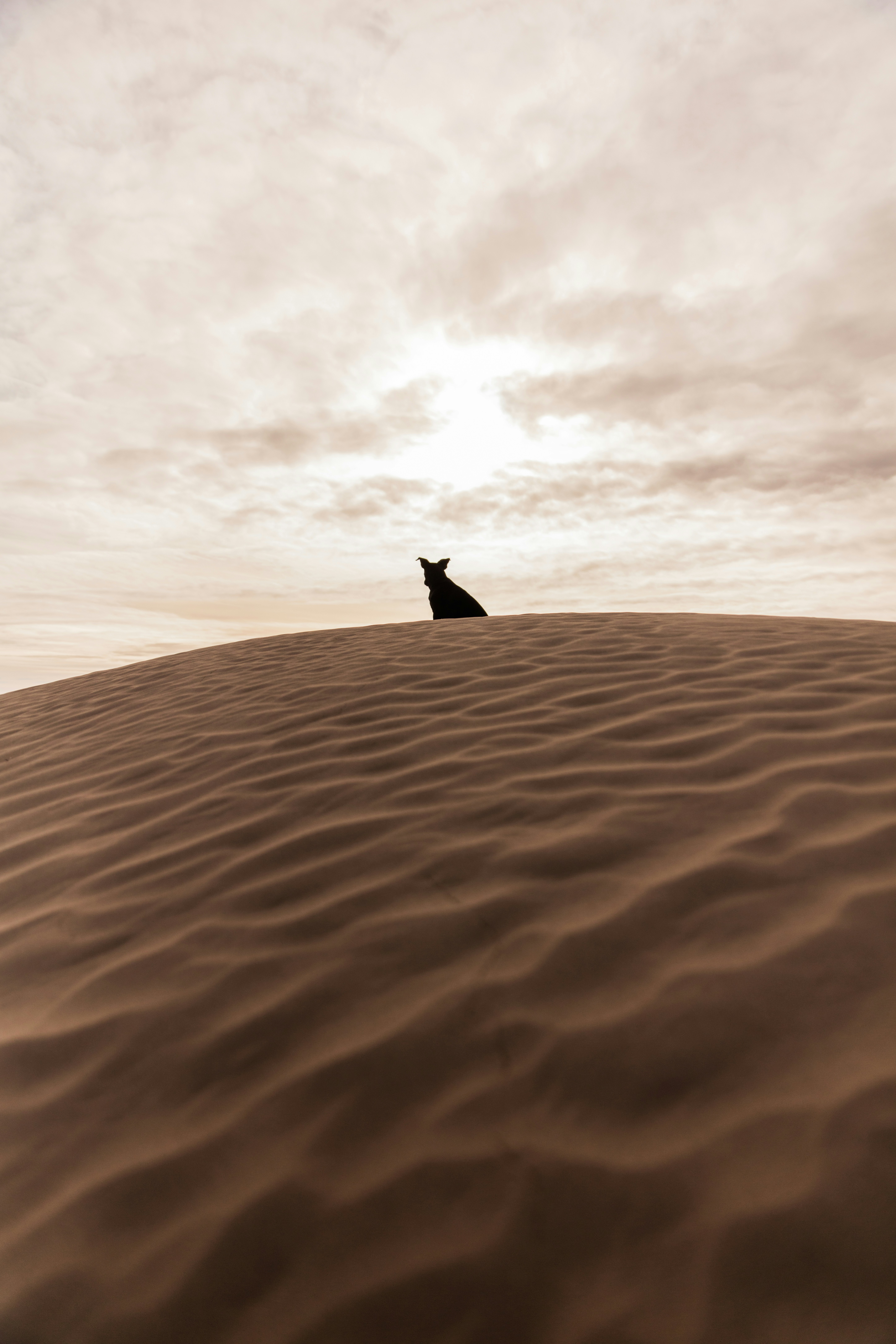 great photo recipe,how to photograph patrick hendry; person in the middle of desert during daytime