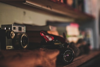 A cozy studio shelf displaying an array of vintage and modern cameras with warm lighting.
