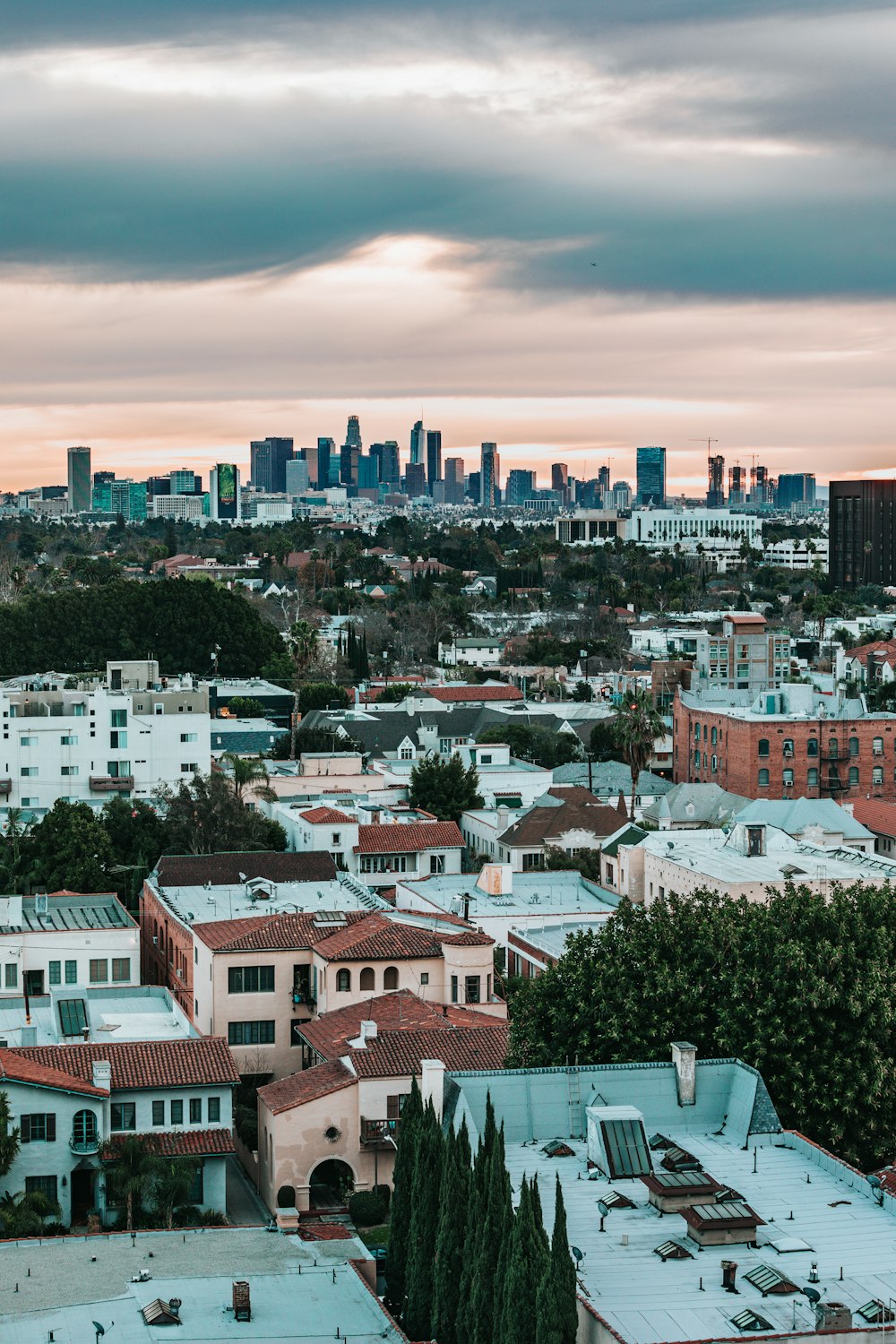 aerial photography of city buildings