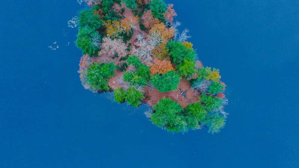 aerial view of an island during day time