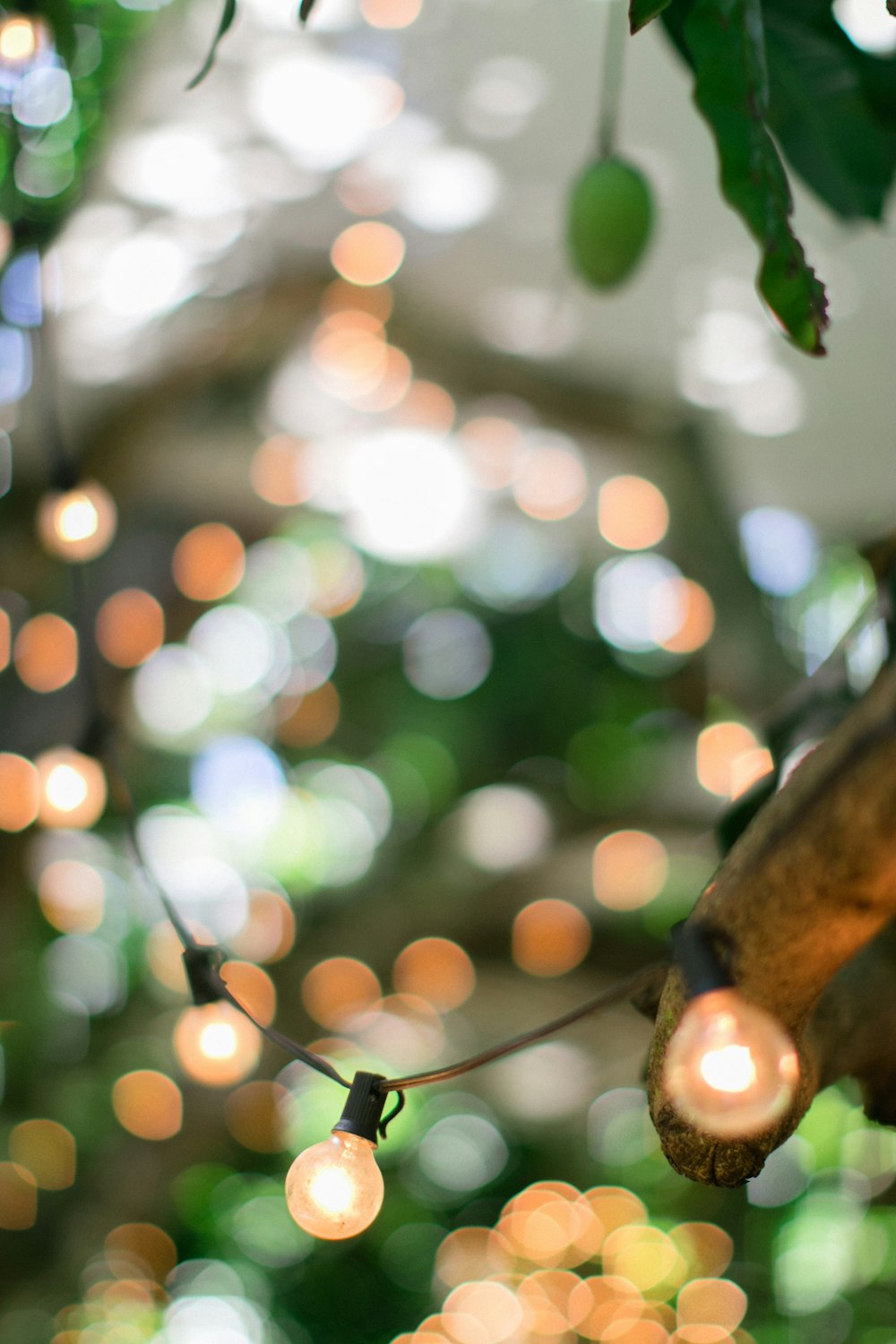 tilt shift lens photography of LED bulb