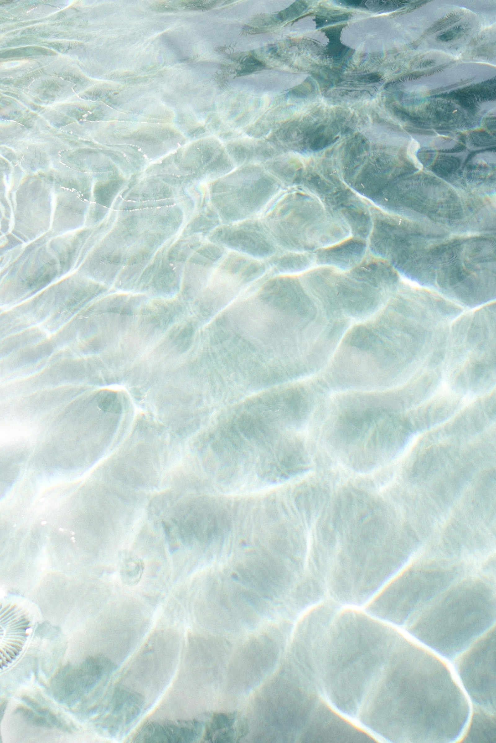 Athlete Recovery: Why Cold Plunges Are A Game Changer