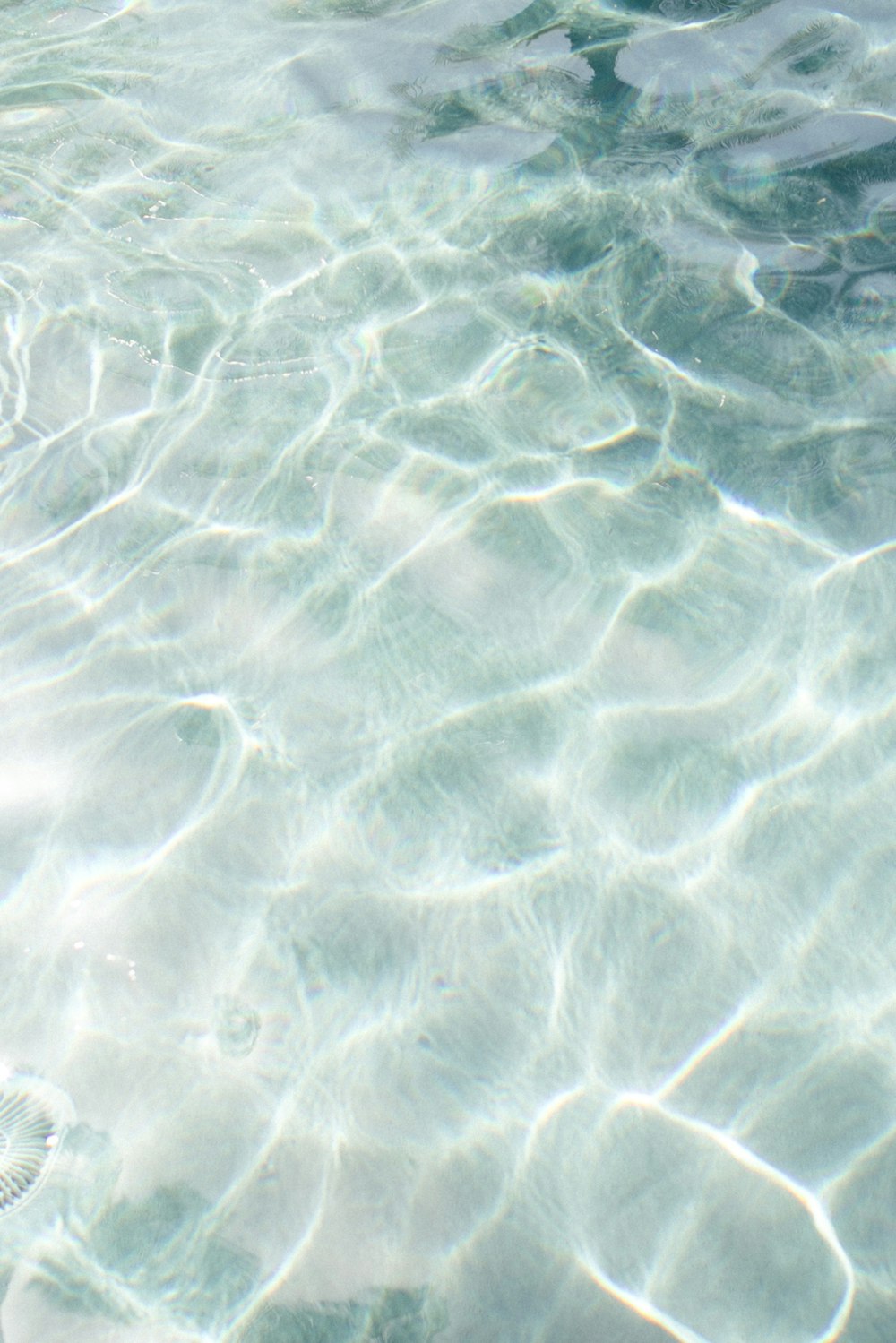 lumière réfléchie sur l’eau pendant la journée