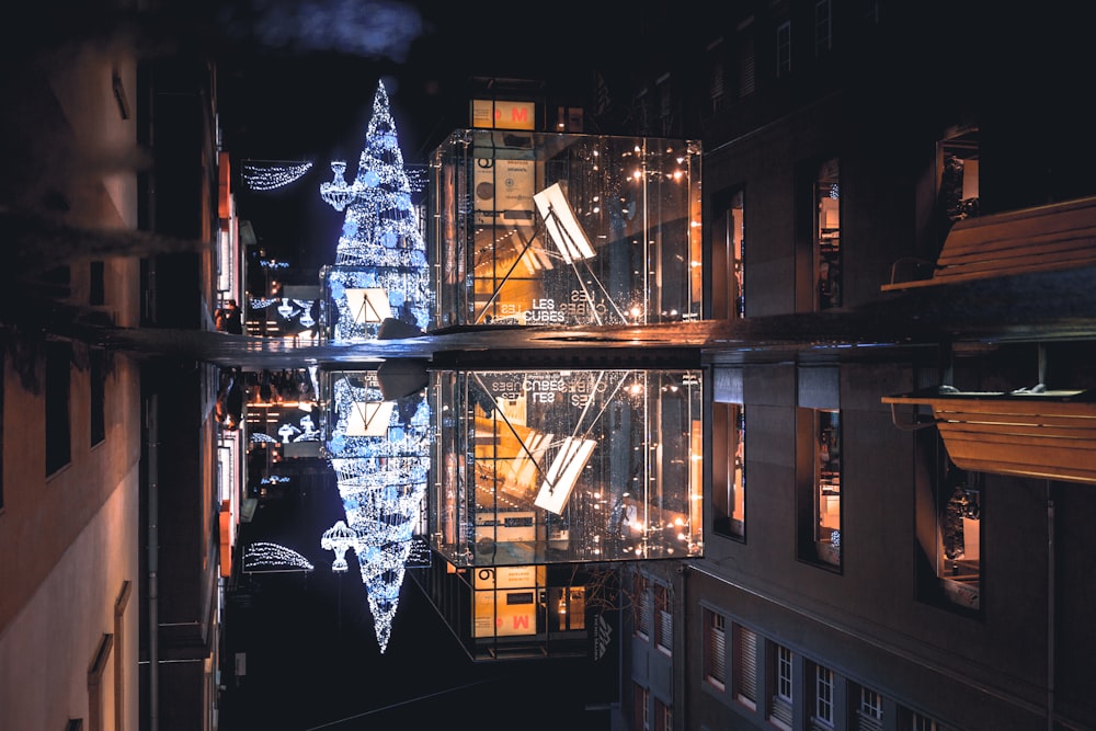 scenery of a Christmas tree with white string lights