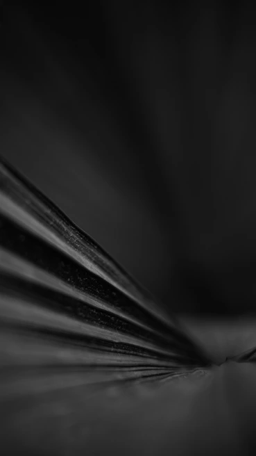 Close-up artistic shot of a textured surface with dramatic lighting