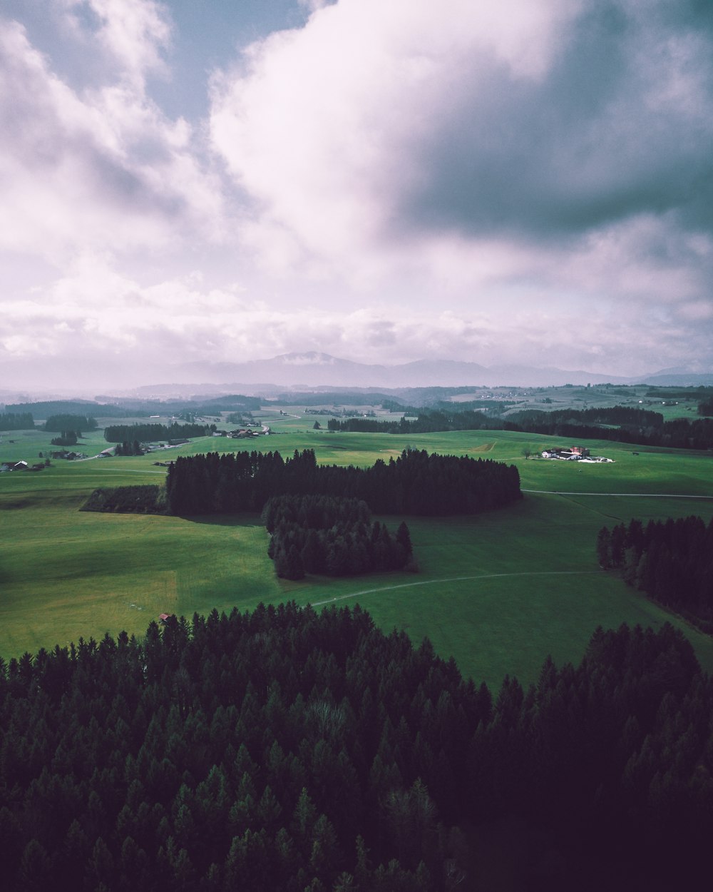 Luftaufnahmen von Bäumen auf einer Wiese bei Tag