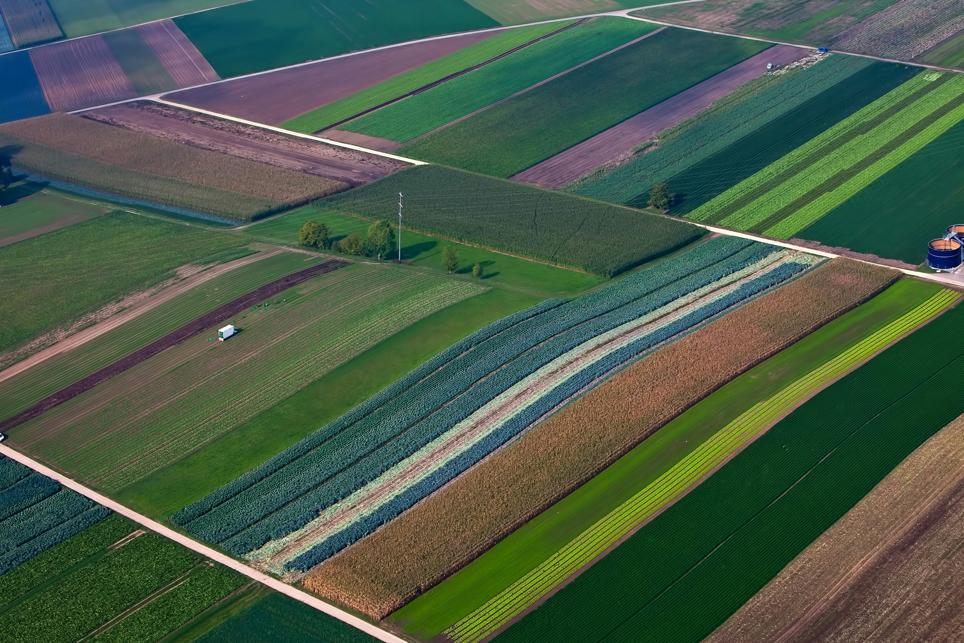 aerial photography of field