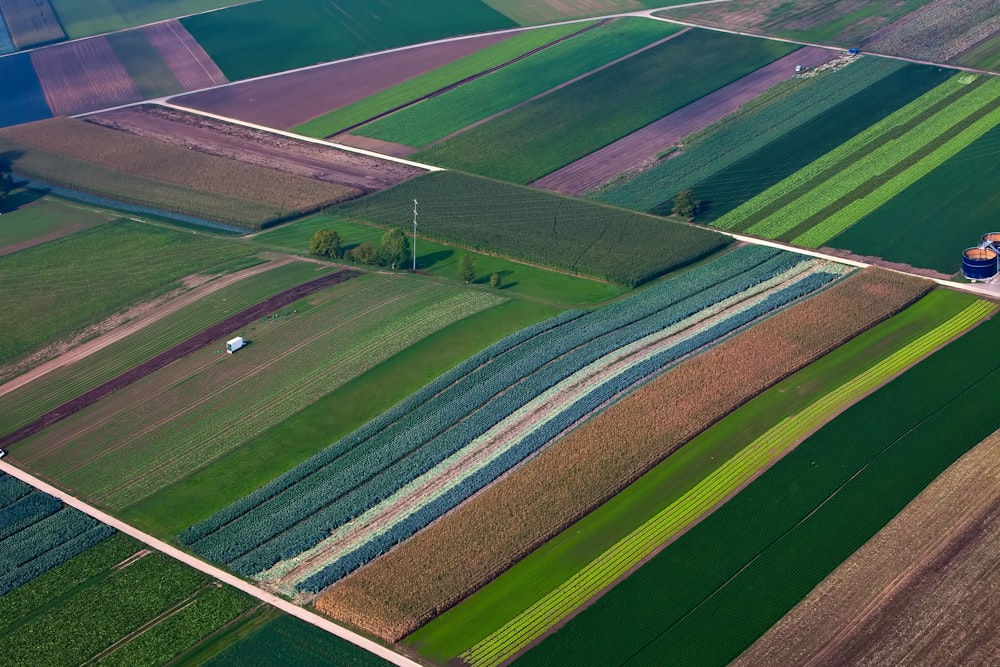 aerial photography of field