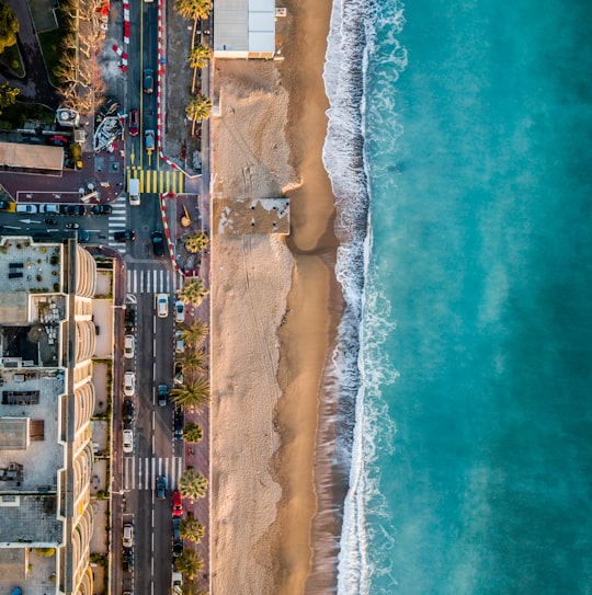 aerial photography of seashore near city at daytime in Cannes France