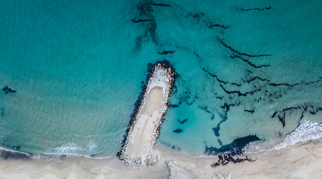 seashore and body of water