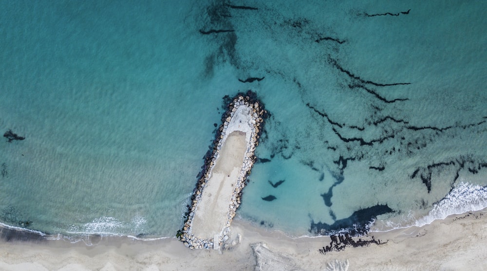 seashore and body of water