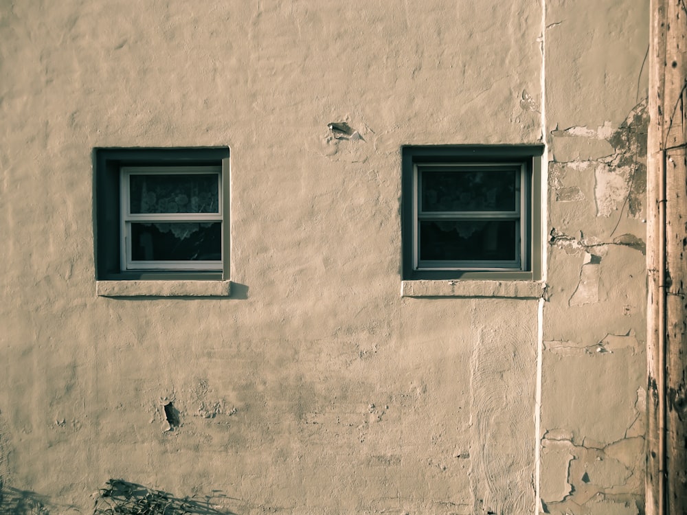 two white sash windows