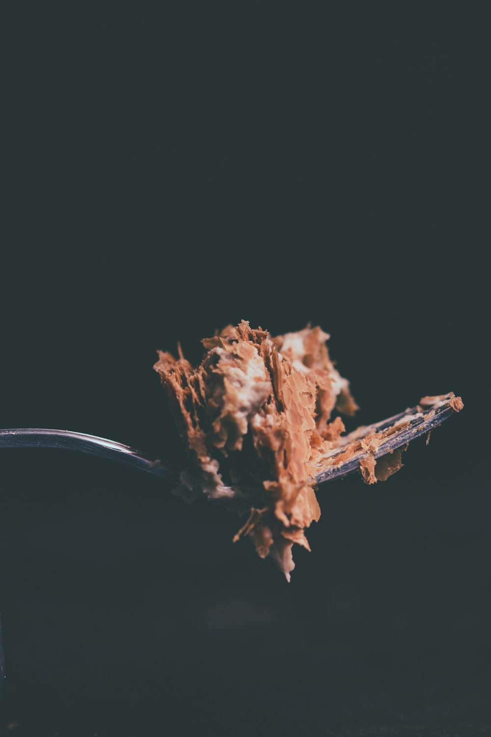 pastel de chocolate en un tenedor foto de primer plano