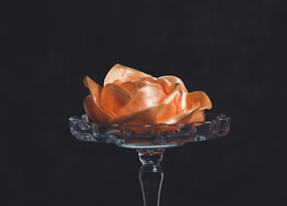 orange flower on glass footed vase against black background