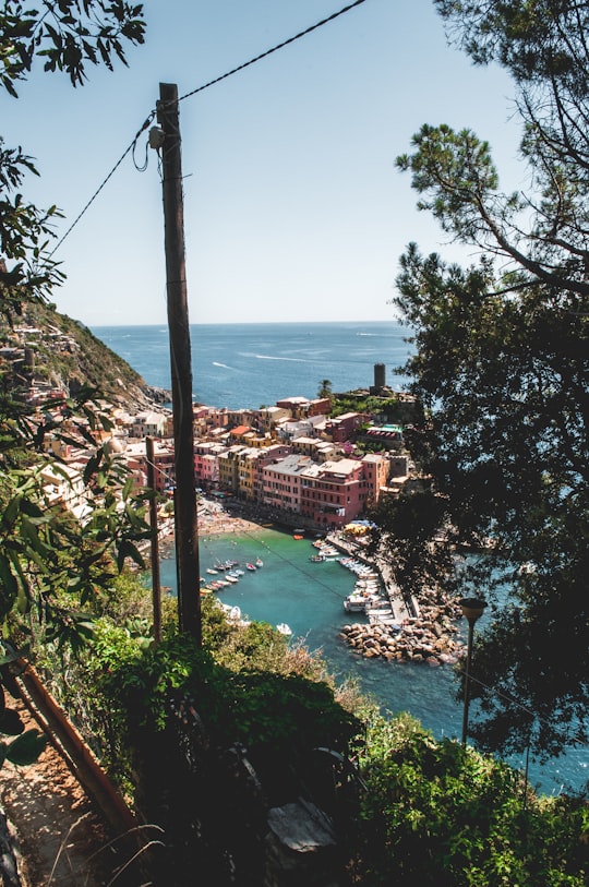 brown utility post and green leafed trees in Parco Nazionale delle Cinque Terre Italy