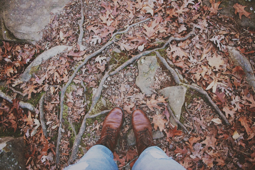 pair of brown leather dress shoes