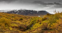 A scenic landscape features a mountainous backdrop with snow-covered peaks under a cloudy sky. The foreground is filled with vibrant autumn foliage in shades of yellow, orange, and green, creating a rich tapestry of colors. A winding road cuts through the landscape, with a vehicle visible in the distance, adding a sense of scale and exploration.