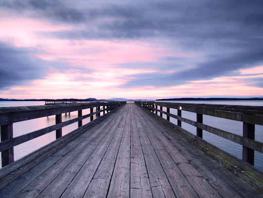 brown wooden dock facing horizone in Sidney Canada