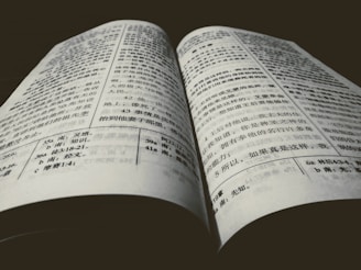 A close-up view of an open book with text written in Chinese characters. The book is laid on a flat surface with pages slightly curved. The lighting creates a shadow along the spine, emphasizing the texture of the pages and the boldness of the text.