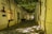 An alleyway with cobblestone paving is flanked by buildings with white facades and tall, narrow windows. Overhead, a canopy of grapevines creates a dappled light effect on the ground below. There is a sign featuring a stylized figure with a hat and bottle.