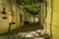 An alleyway with cobblestone paving is flanked by buildings with white facades and tall, narrow windows. Overhead, a canopy of grapevines creates a dappled light effect on the ground below. There is a sign featuring a stylized figure with a hat and bottle.