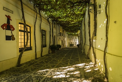 An alleyway with cobblestone paving is flanked by buildings with white facades and tall, narrow windows. Overhead, a canopy of grapevines creates a dappled light effect on the ground below. There is a sign featuring a stylized figure with a hat and bottle.