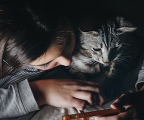 girl holding smartphone beside cat watching reclining to her shoulder