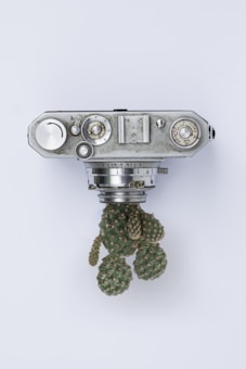 gray point-and-shoot camera near cactus
