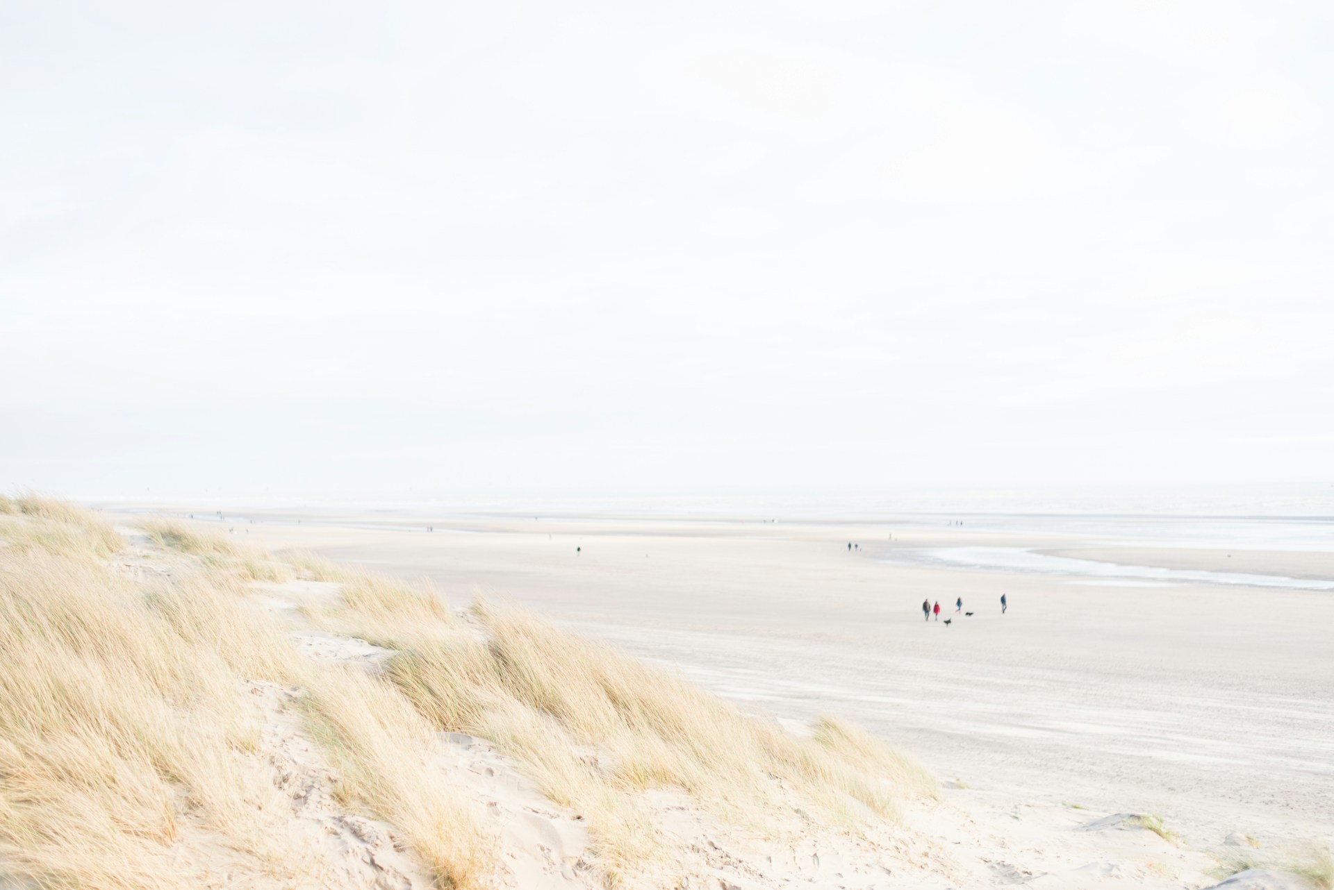people on seashore during daytime
