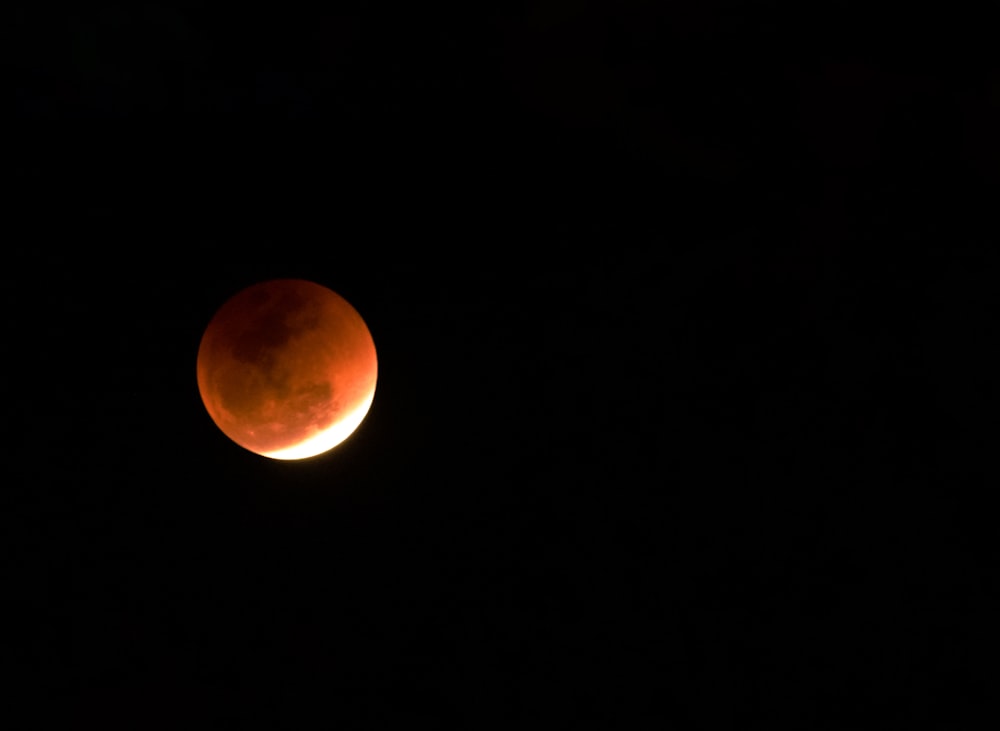 photo of blood moon during night time
