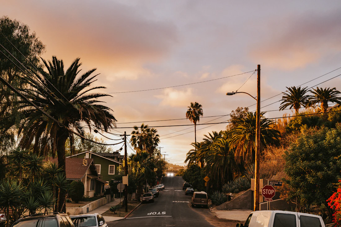 A palm-lined Southern California street near the practice