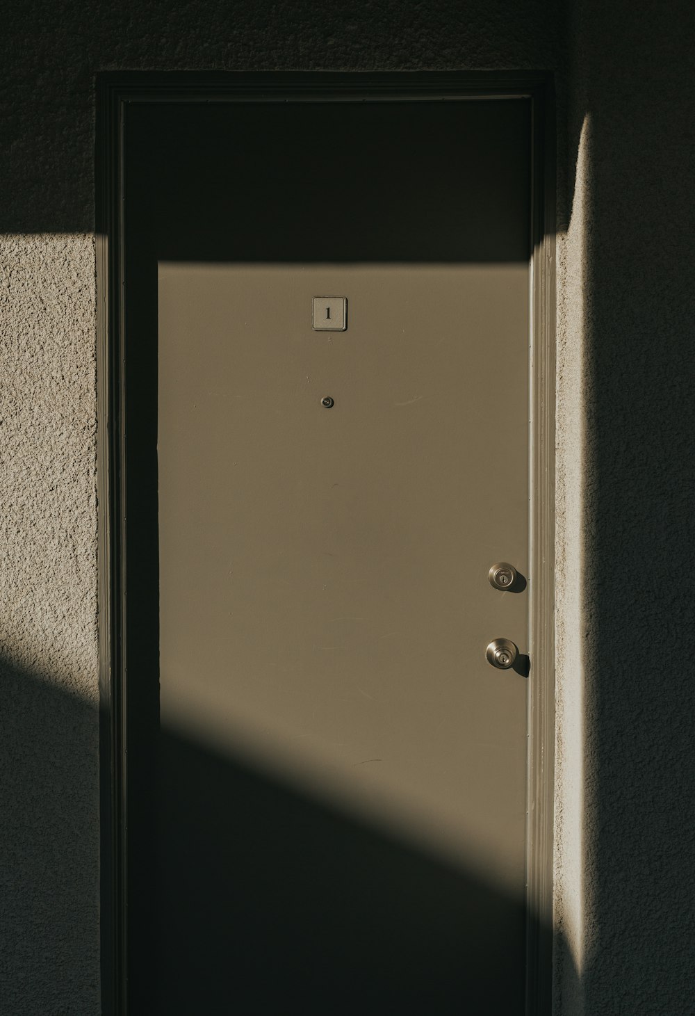 closed gray wooden door
