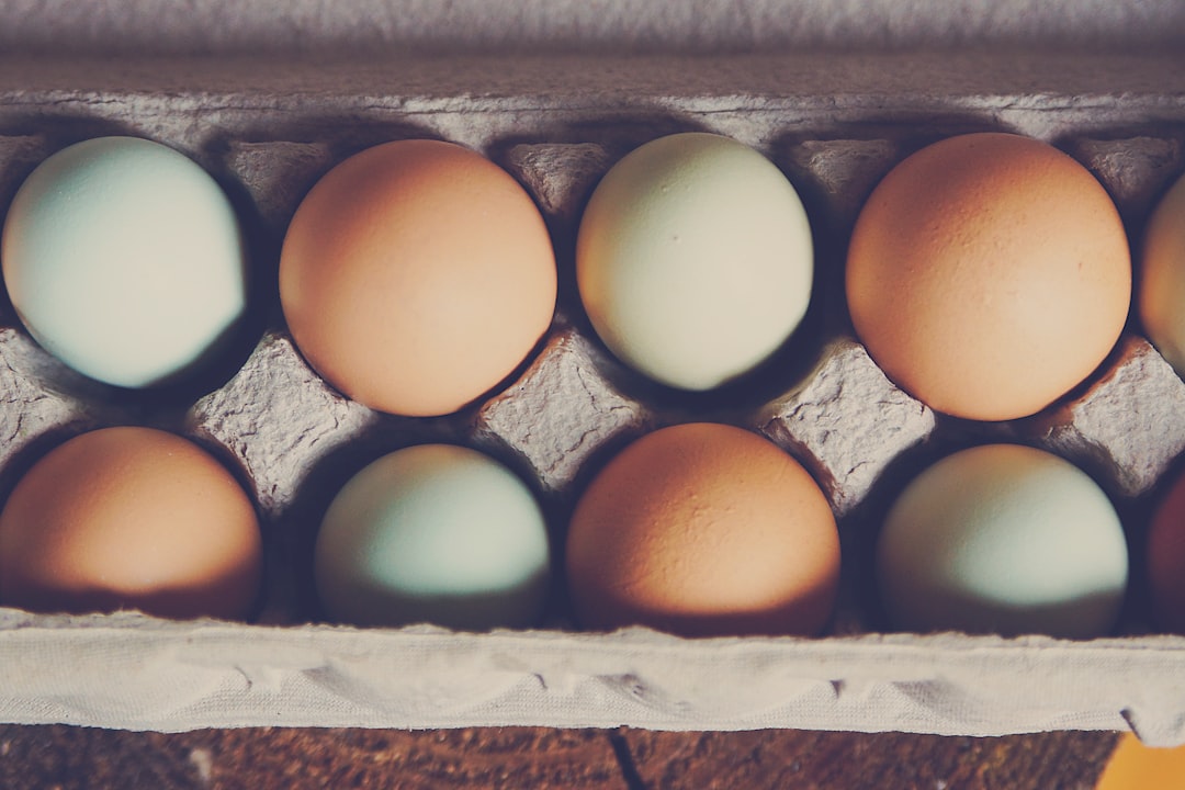 white and brown egg on gray tray