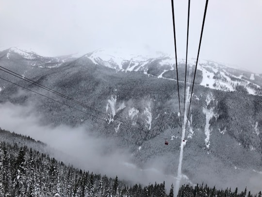 Peak 2 Peak Gondola things to do in Squamish River