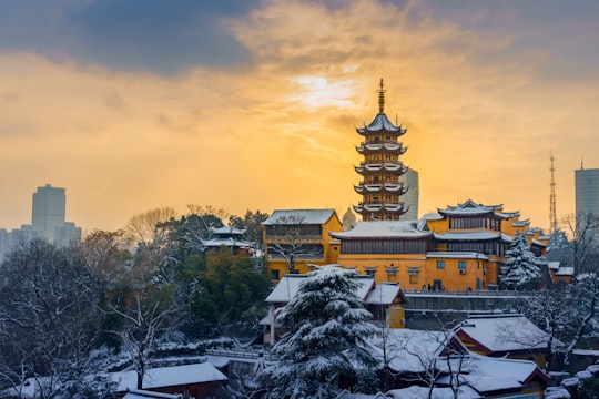 brown pagoda temple during daytime in Nanjing China