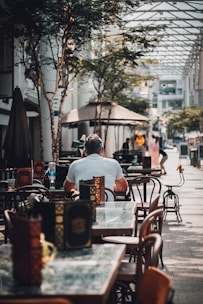man sitting on chair near tree
