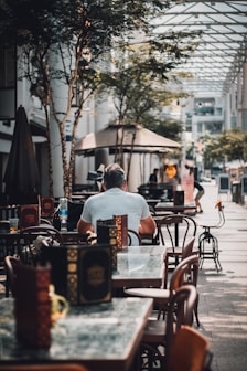 man sitting on chair near tree
