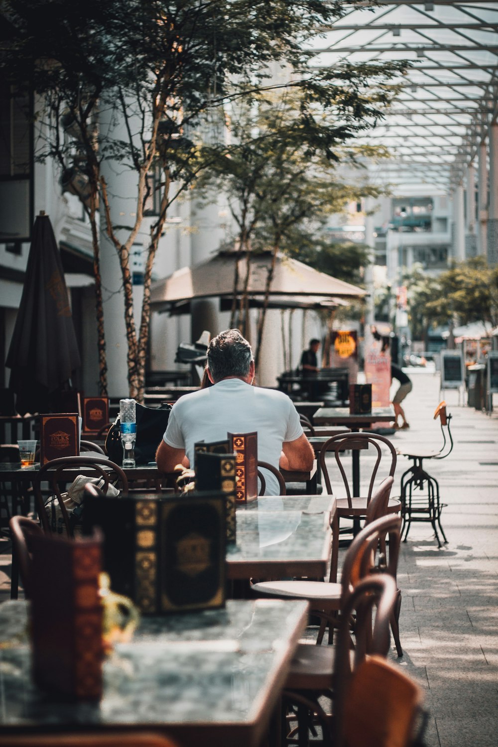 man sitting on chair near tree