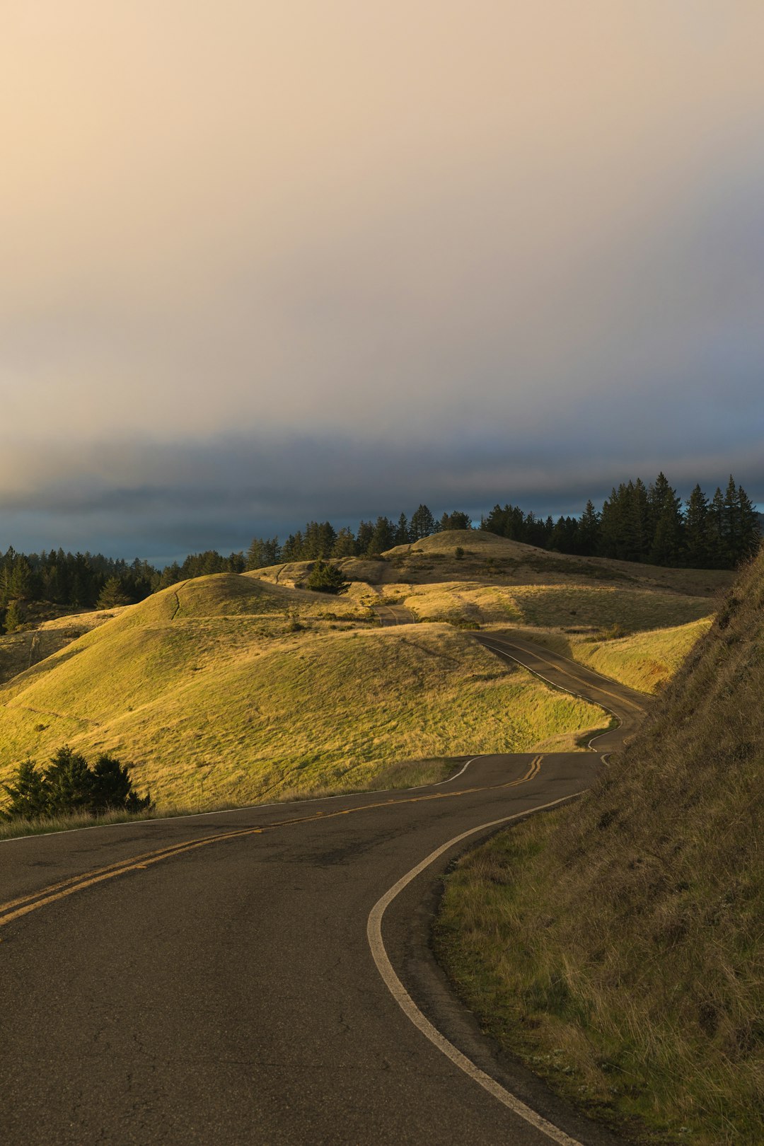 Hill photo spot Mount Tamalpais San Mateo