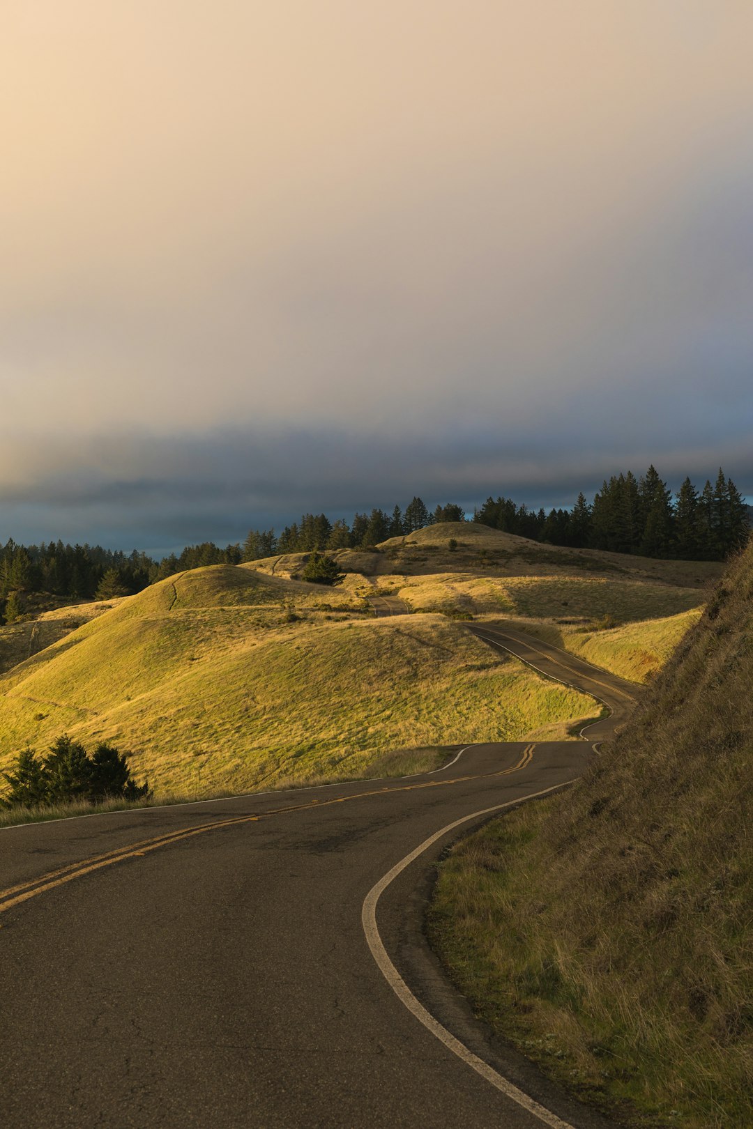 Hill photo spot Mount Tamalpais Mount Tamalpais State Park