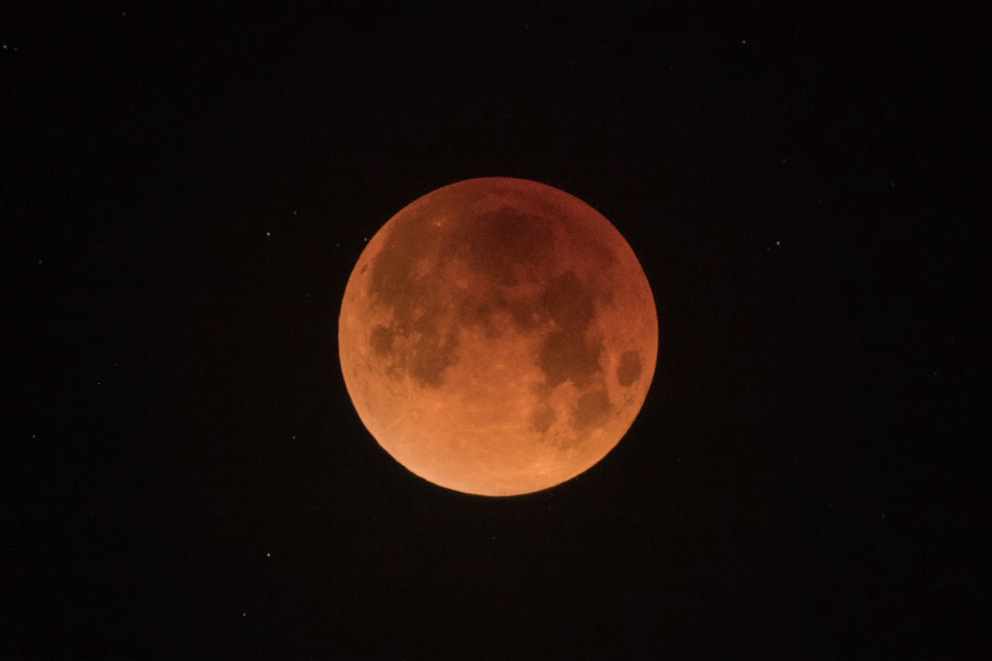 Here is a shot of the lunar eclipse. It was taken in Napa, California at about 0545. I was fortunate enough to be close by and not get shutdown due to in-climate weather as a bunch of my friends did. The shot was fairly easy to take. The hardest part about acquiring a photo like this is the focus. Even with the best optics you still have to worry about the atmospheric distortion, which is caused when the moon gets close to the horizon. I hope you enjoy. I’m on IG @bryangoffphoto Stop by and say hi!