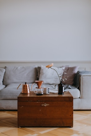 un canapé gris clair avec devant un coffre en bois comme table basse avec de la décoration dessus