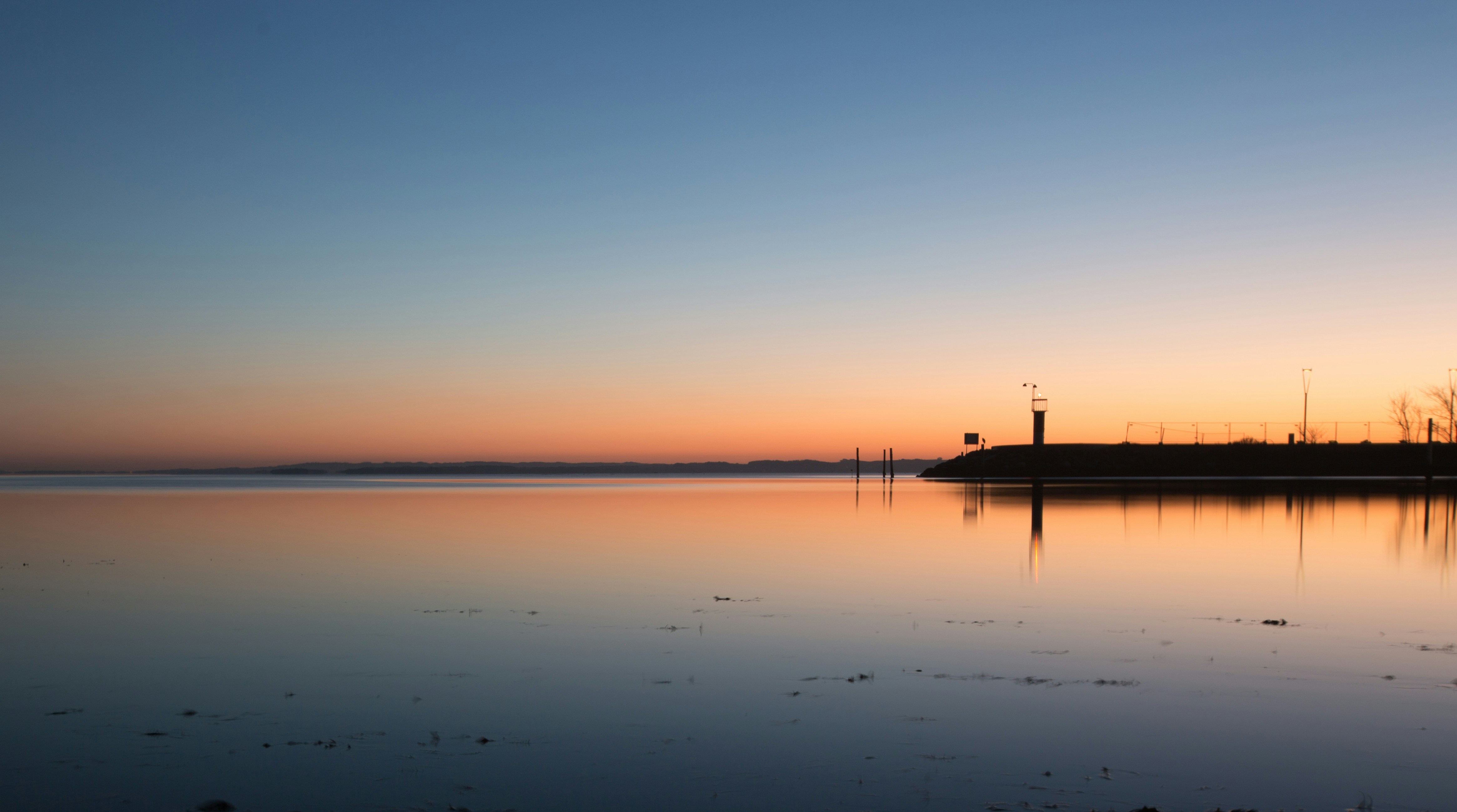 MODEL-X-coin header image